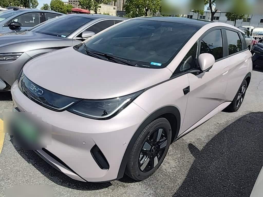 2025 BYD Dolphin